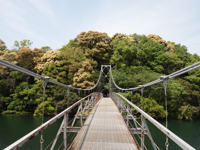 亀池