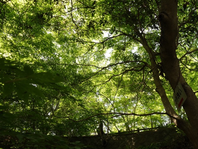 亀池