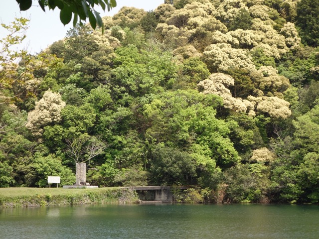 亀池