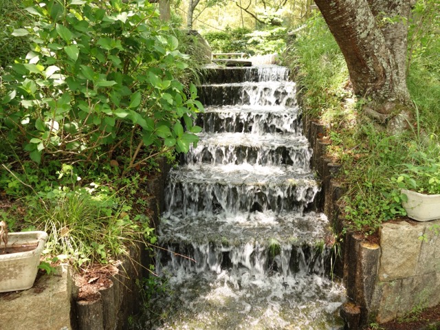 亀池