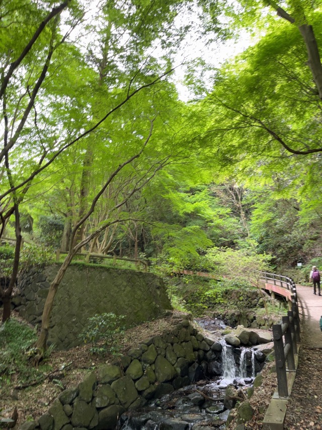 枚岡山展望台