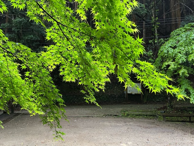 桃尾の滝