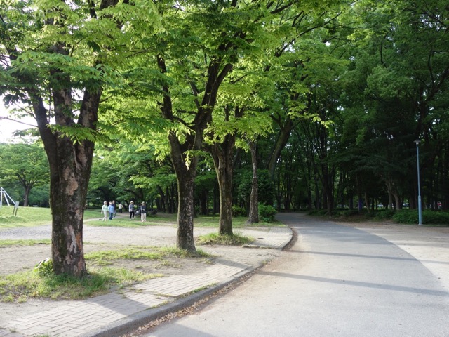 名城公園