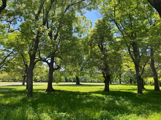 大阪城西の丸庭園