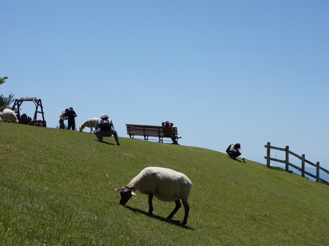 六甲山牧場