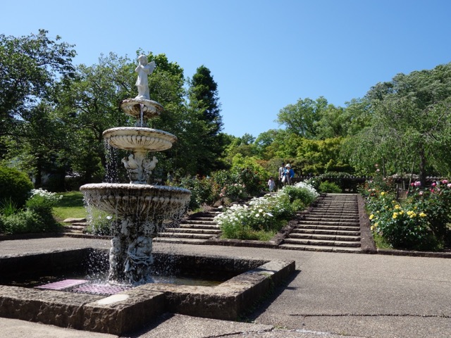 北山緑化植物園