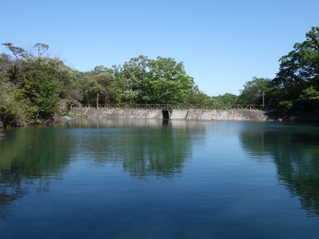北山緑化植物園