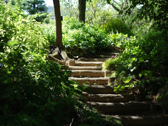 北山緑化植物園