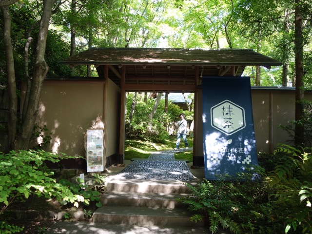 北山緑化植物園