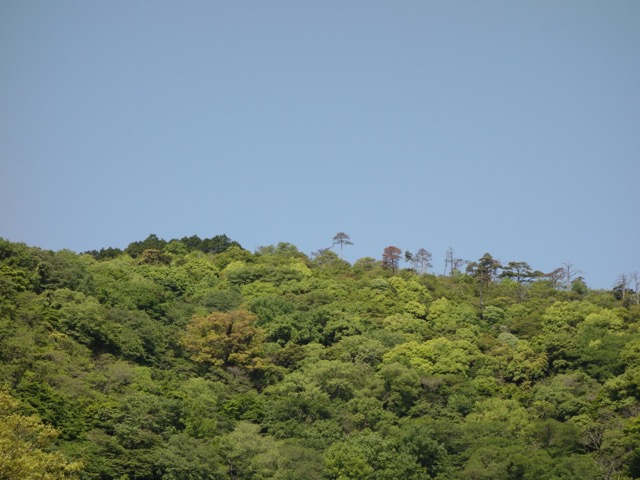 箕面公園