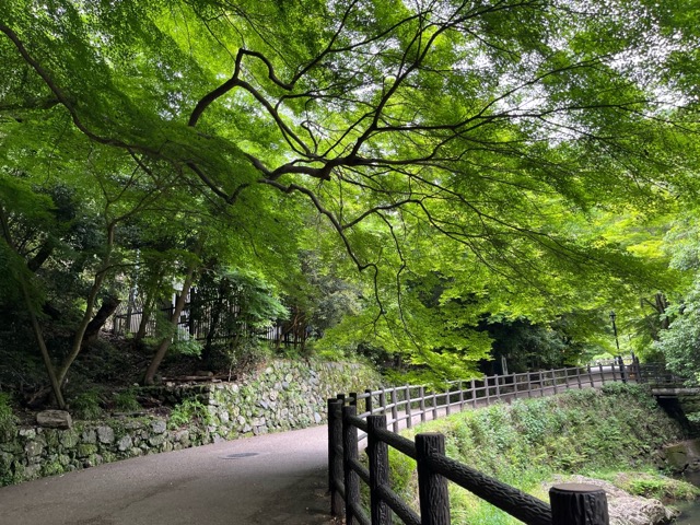 箕面公園