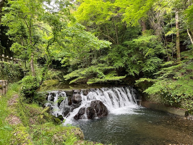 箕面公園