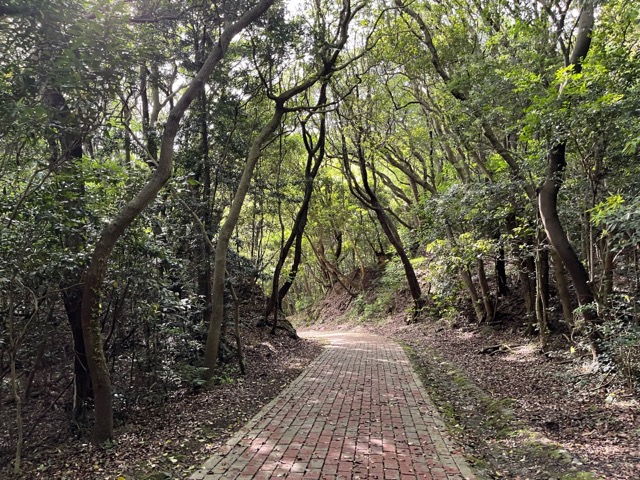 深山第一砲台跡