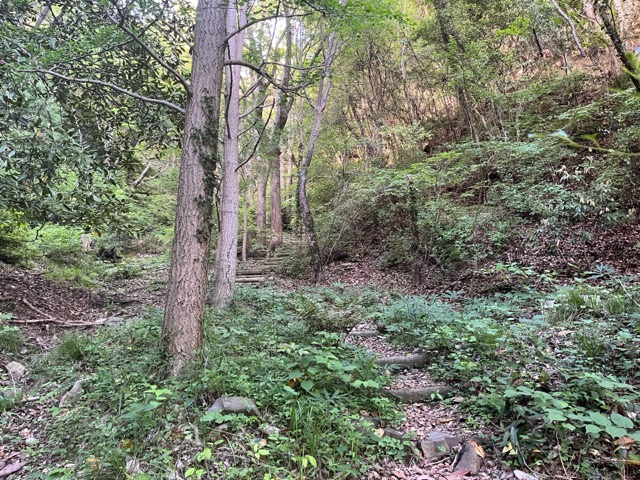 和歌山市森林公園