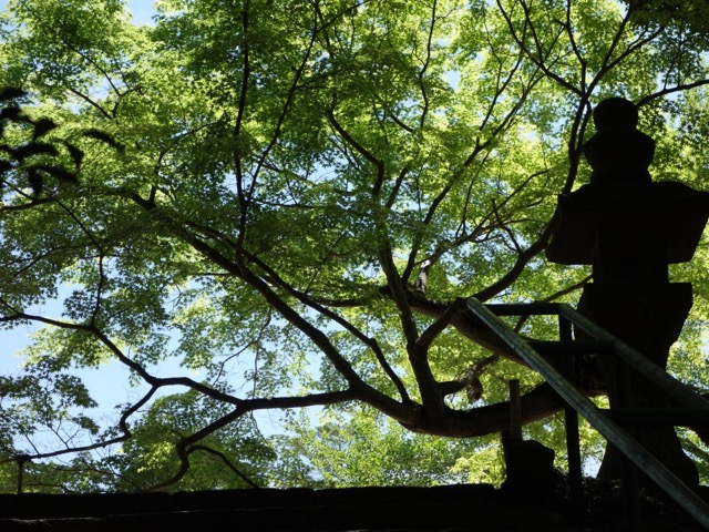 花山院菩提寺