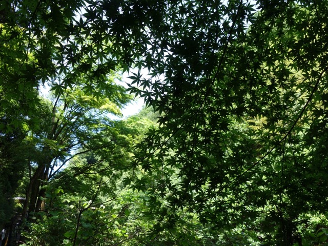 摂津峡公園