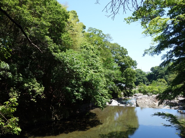 摂津峡公園