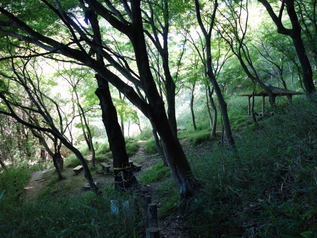 摂津峡公園
