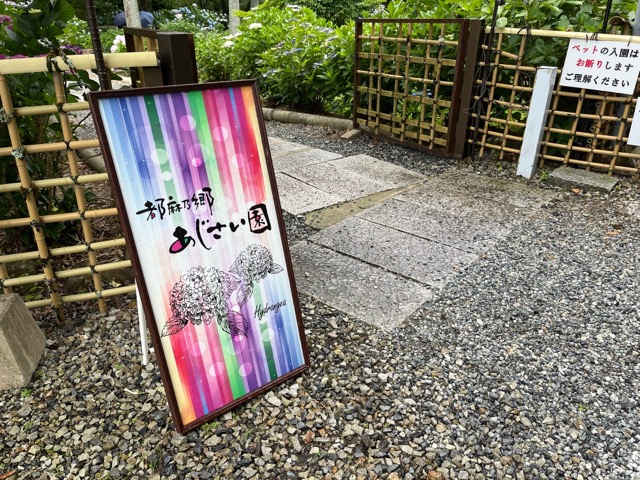 都麻乃郷あじさい園