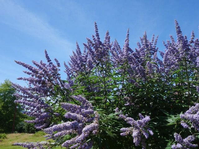 鳴尾浜臨海公園