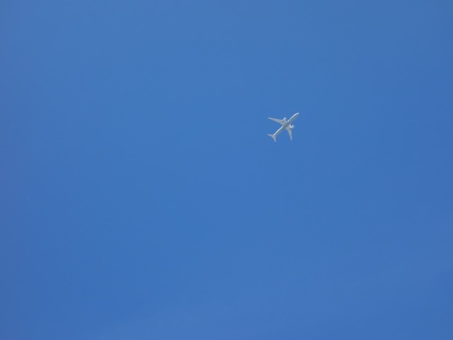 鳴尾浜臨海公園