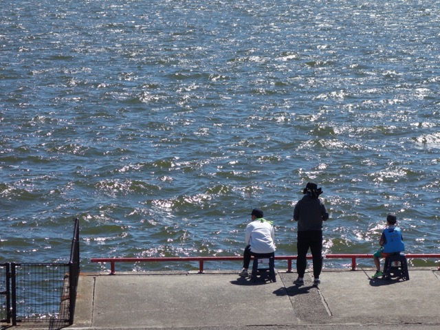鳴尾浜臨海公園