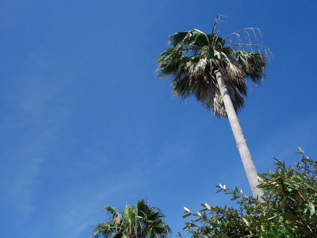 鳴尾浜臨海公園
