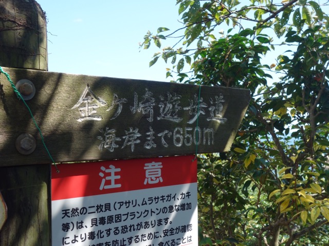 万葉の岬