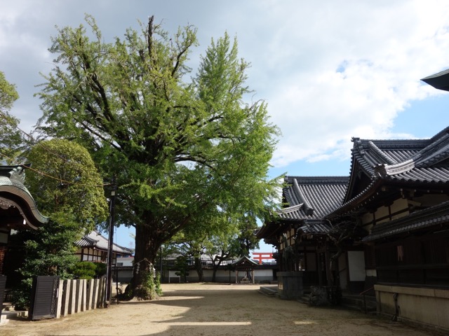 松原八幡神社