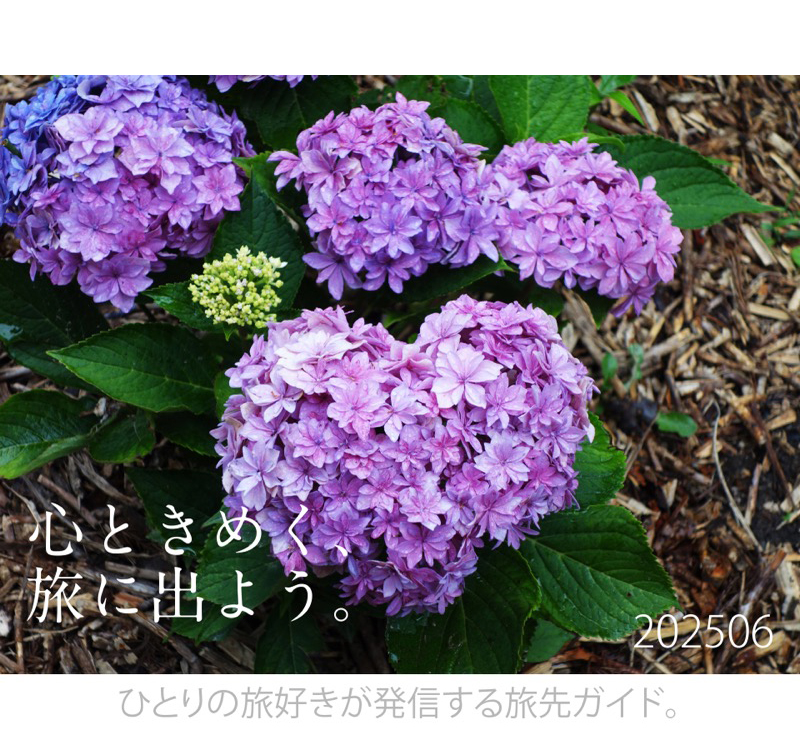 tabicocoloタイトル