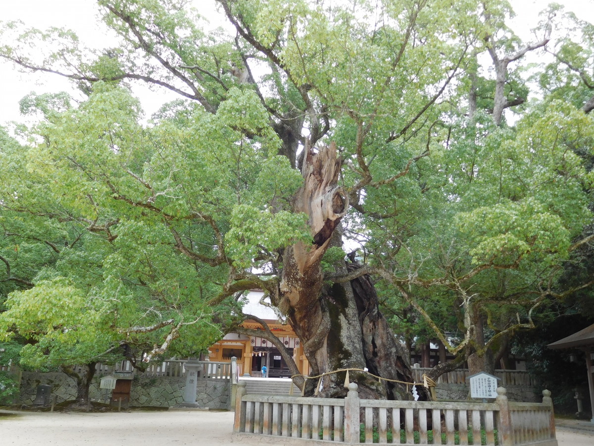 大山祇神社