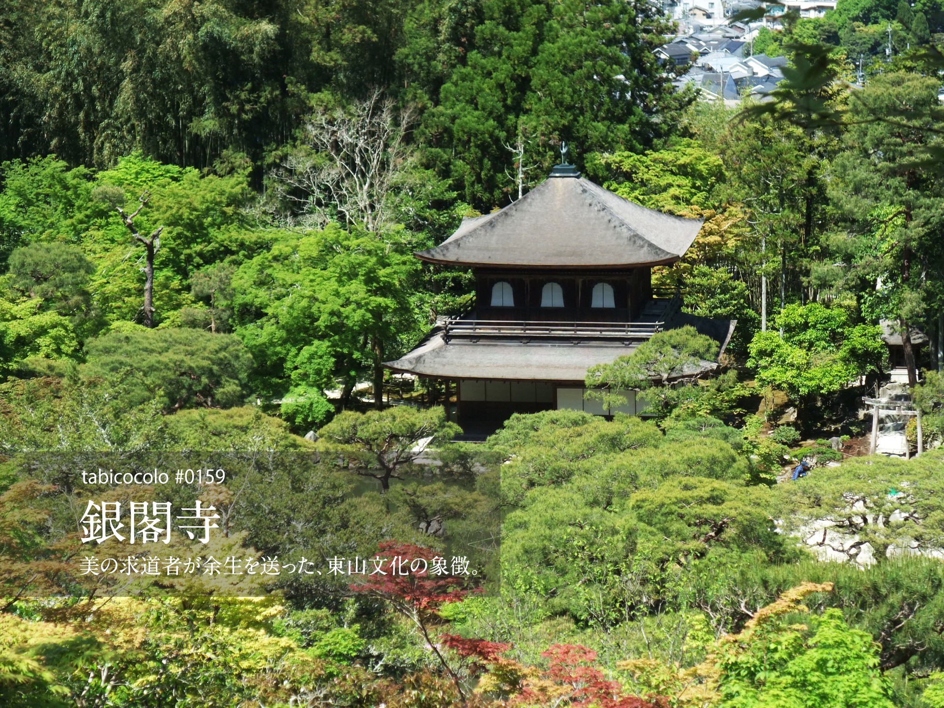 銀閣寺