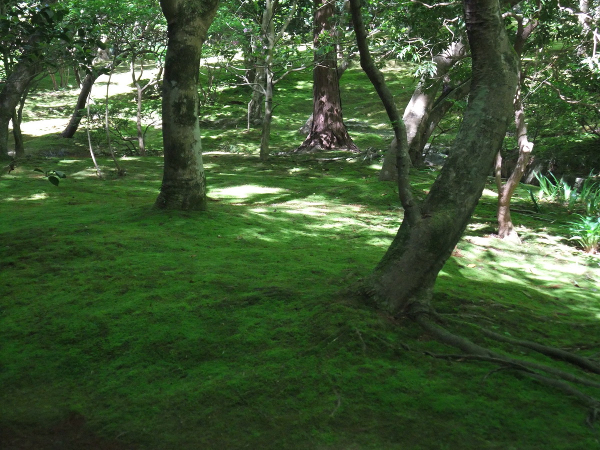 銀閣寺