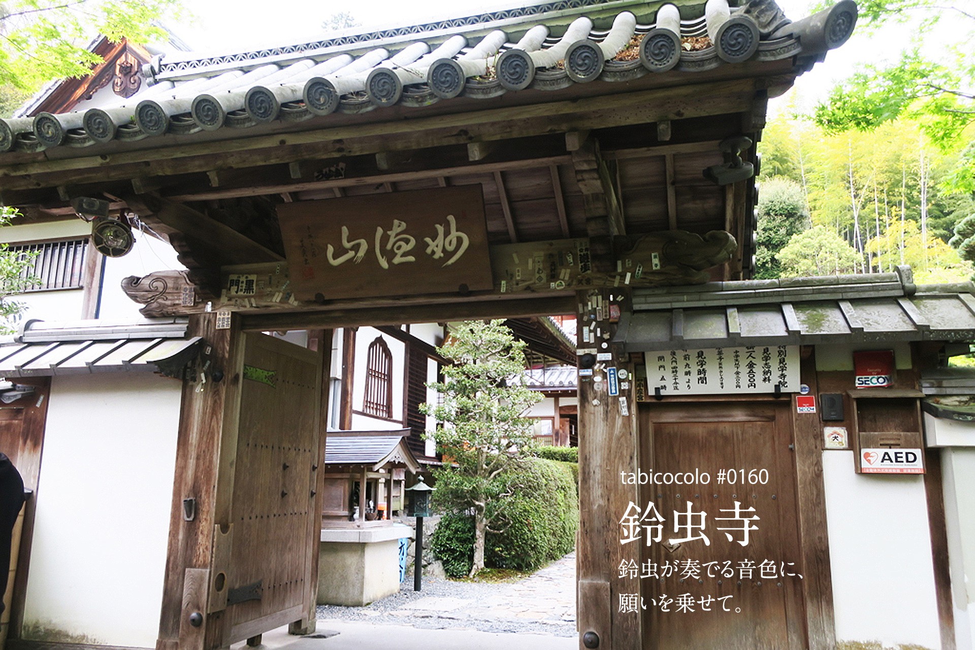 鈴虫寺