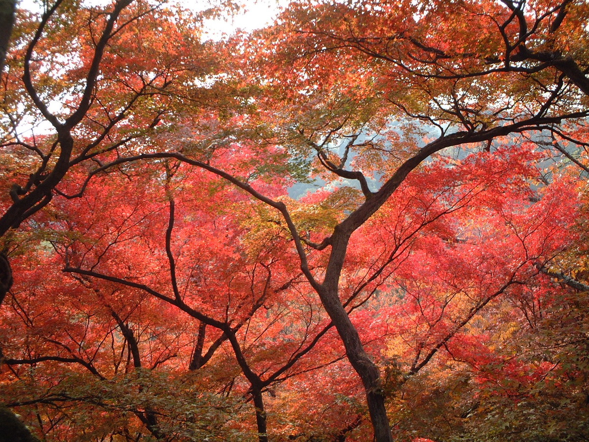 清水寺