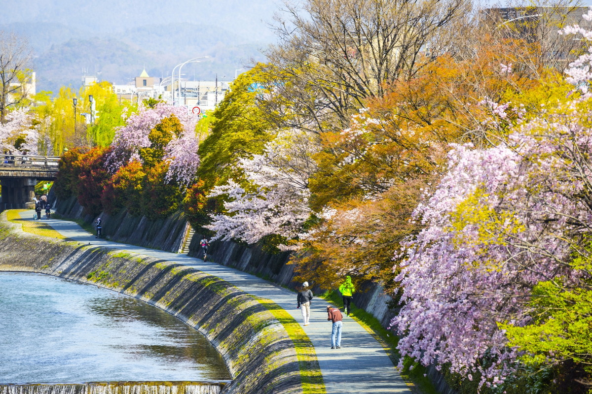 鴨川