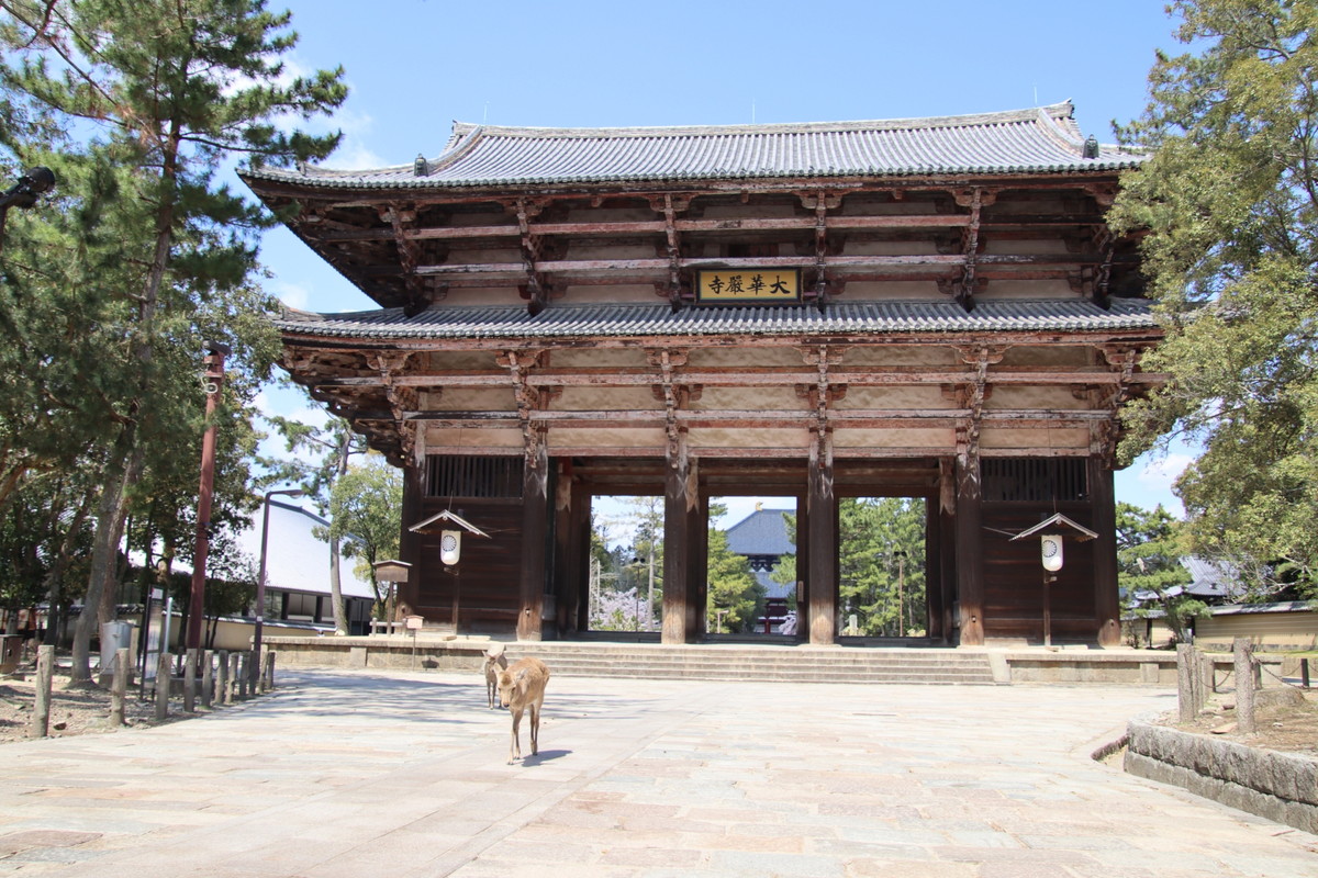 東大寺・南大門