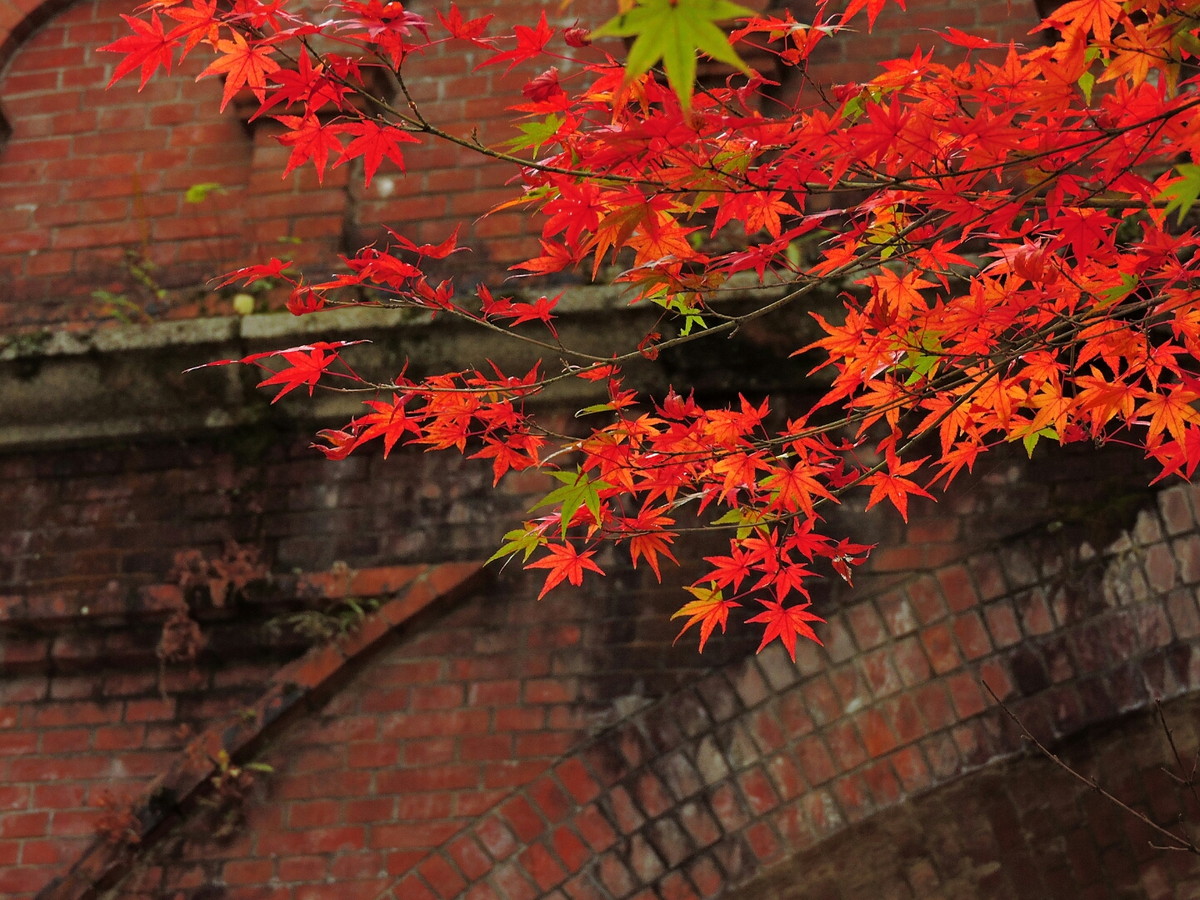 南禅寺