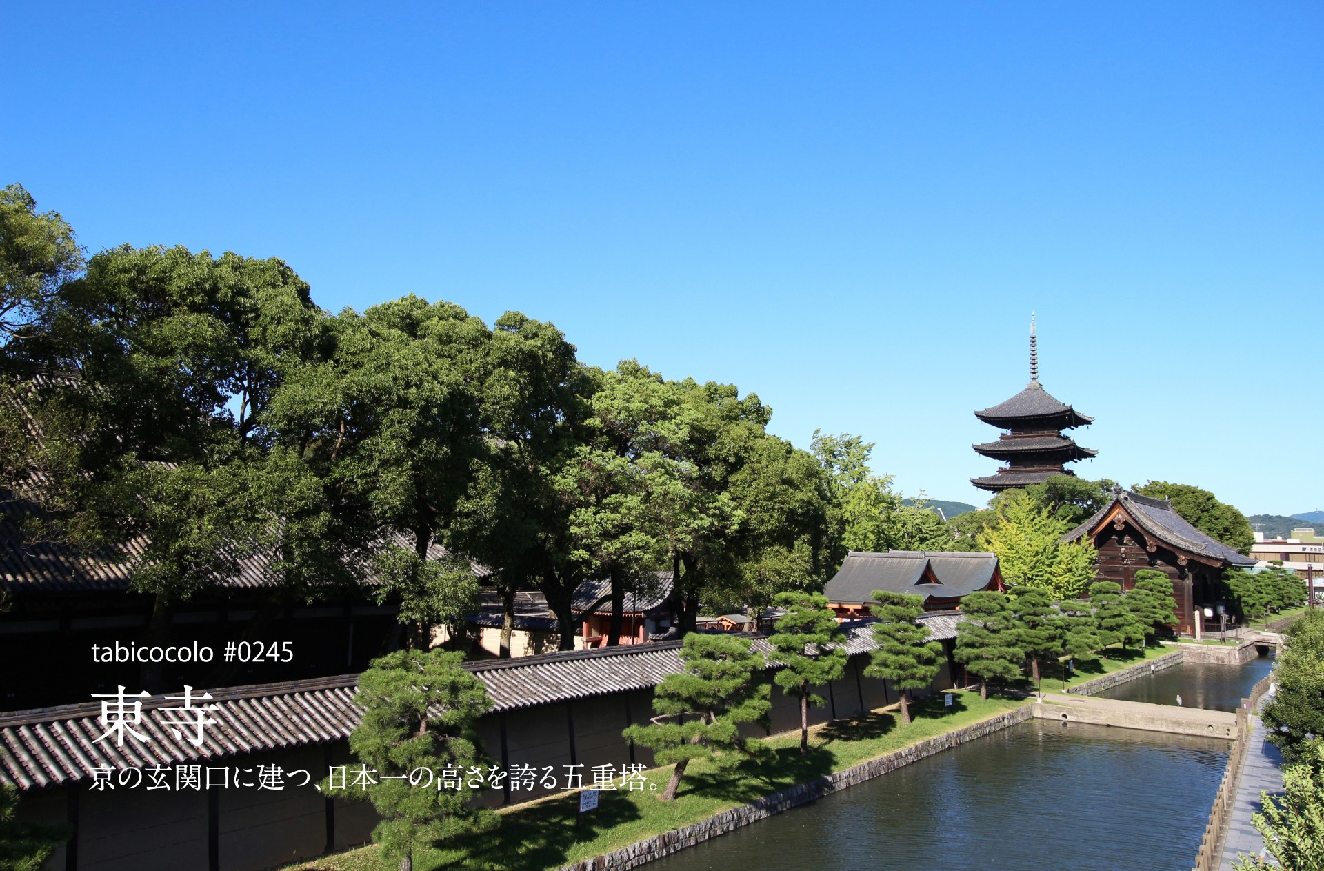 東寺