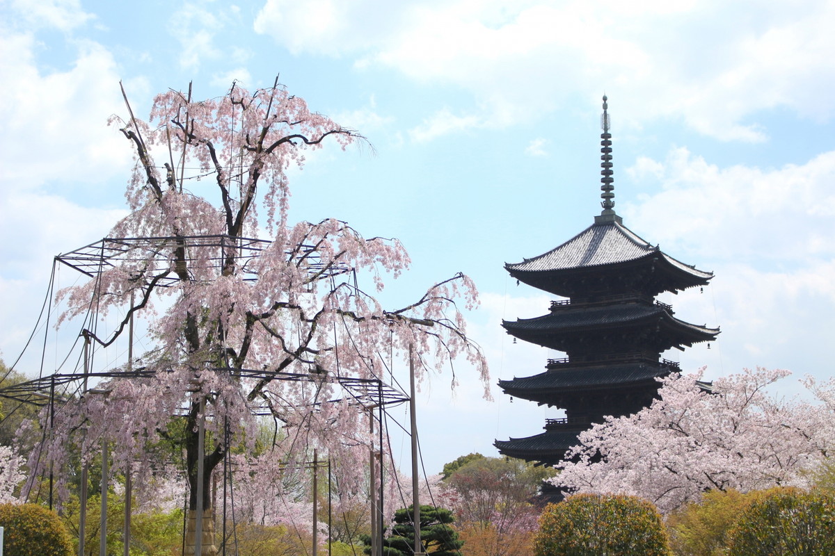 東寺