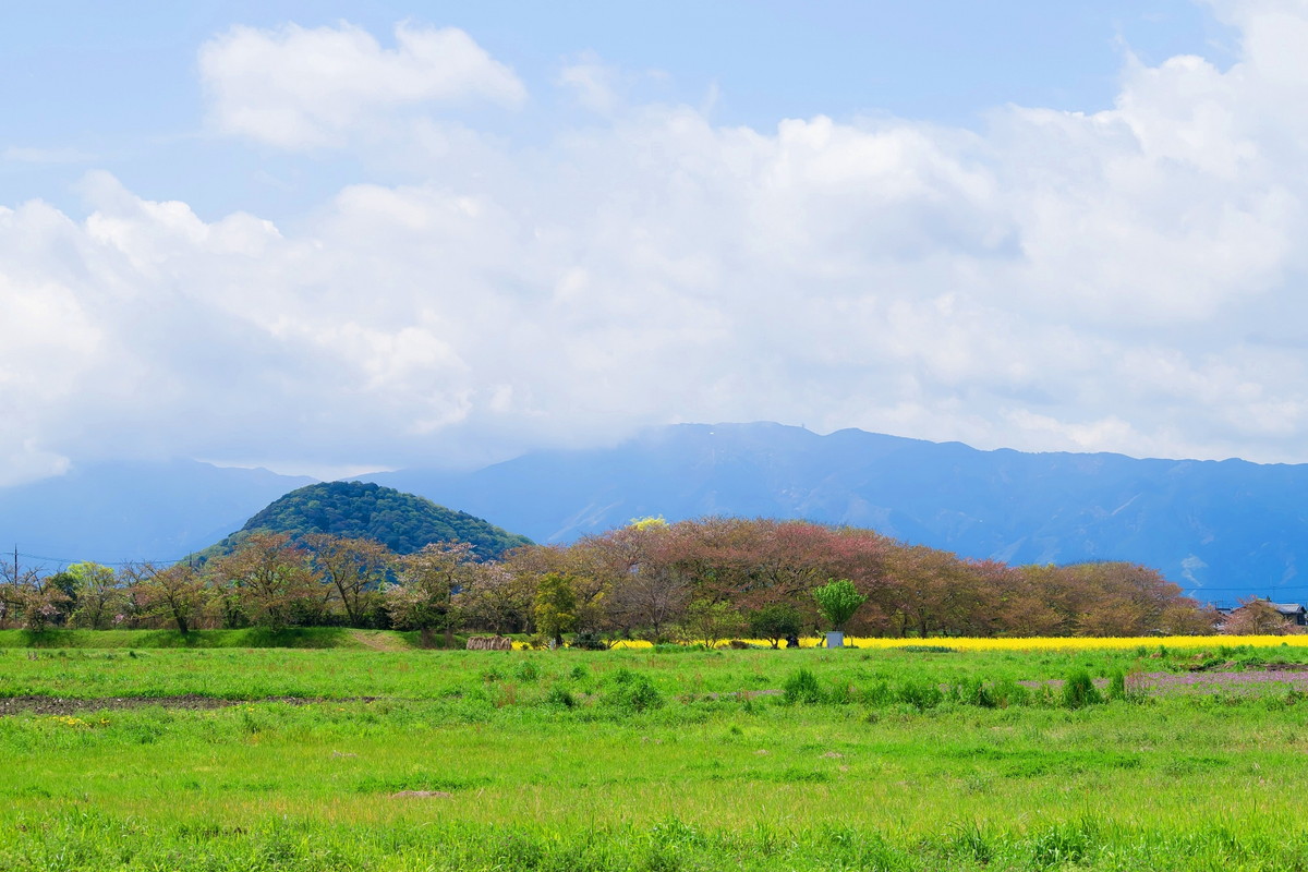 藤原宮跡