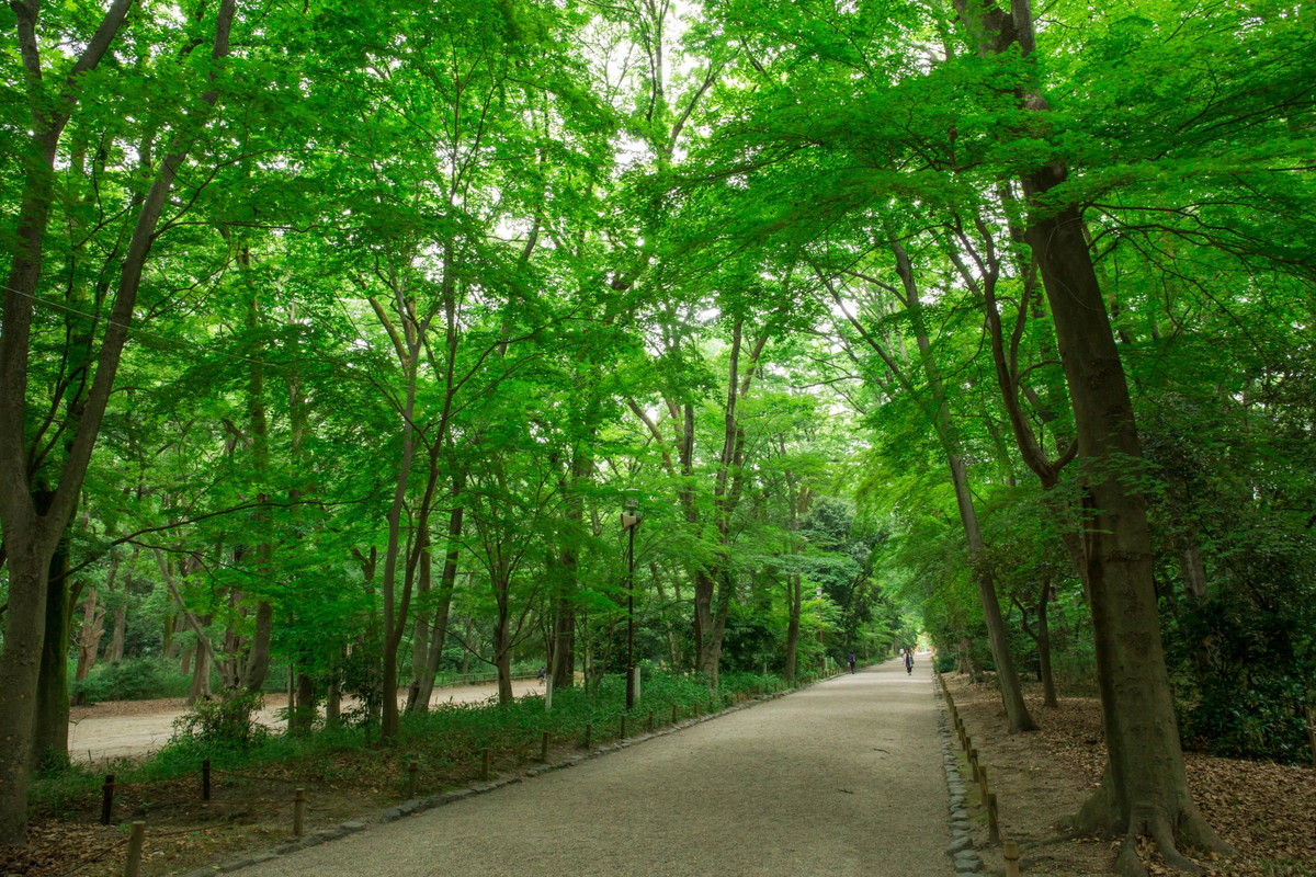 下鴨神社