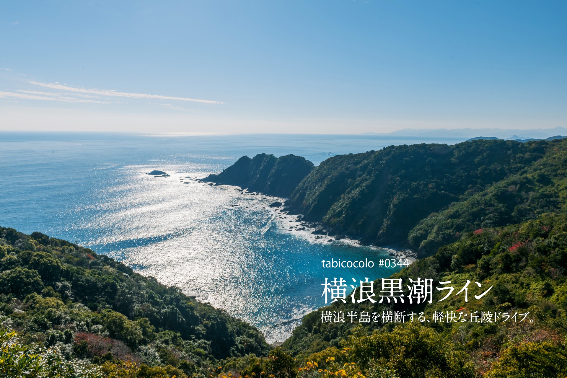 横浪黒潮ライン