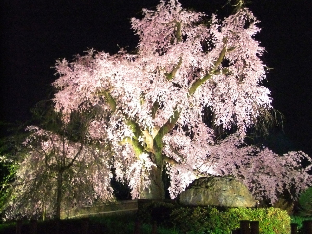 円山公園