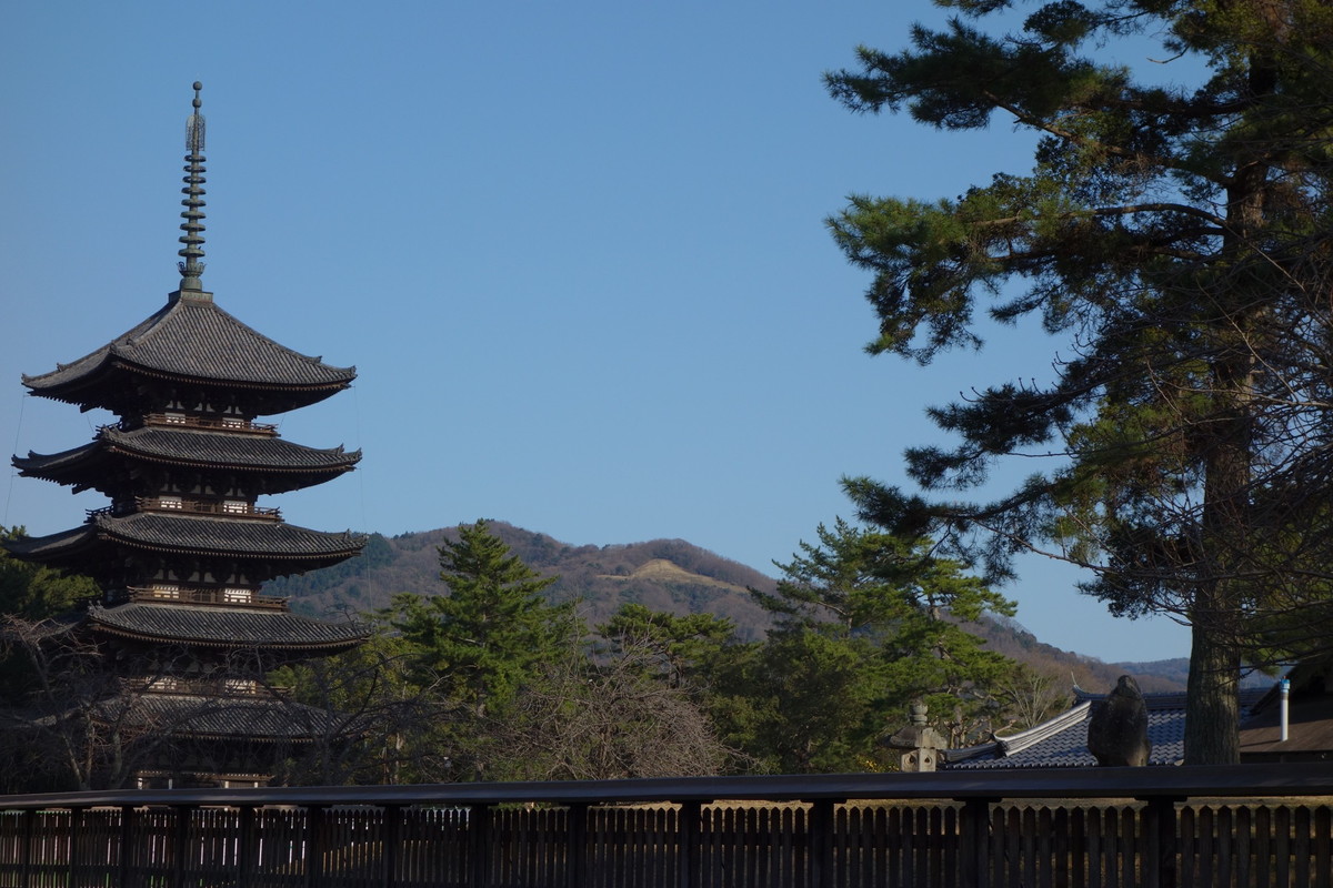 高円山