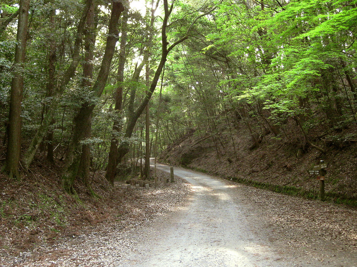 奈良奥山ドライブウェイ