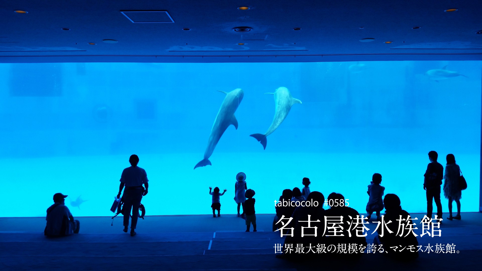 名古屋港水族館