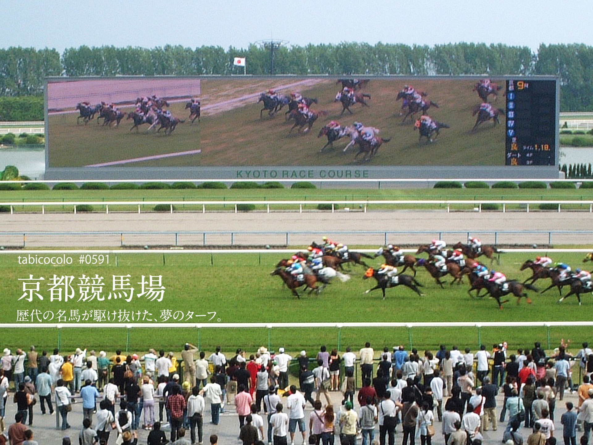 京都競馬場