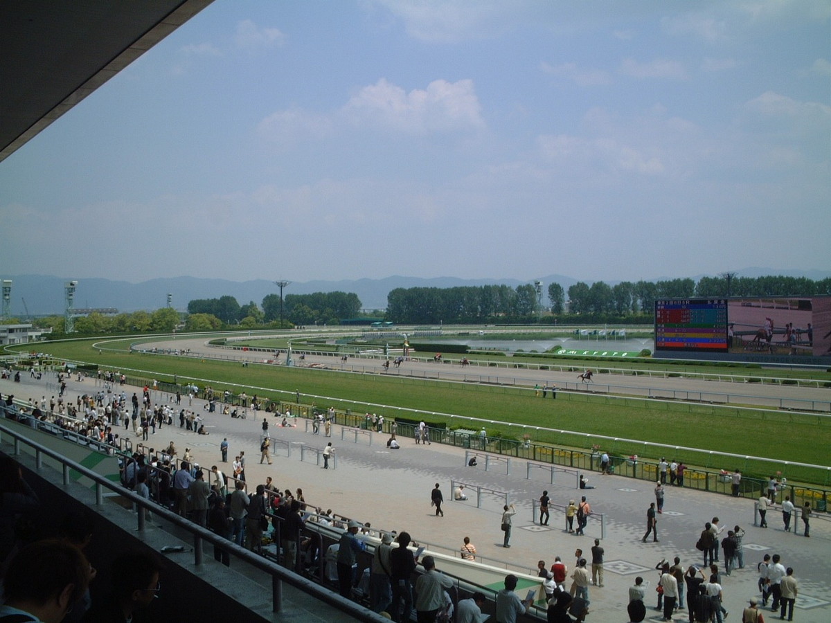 京都競馬場