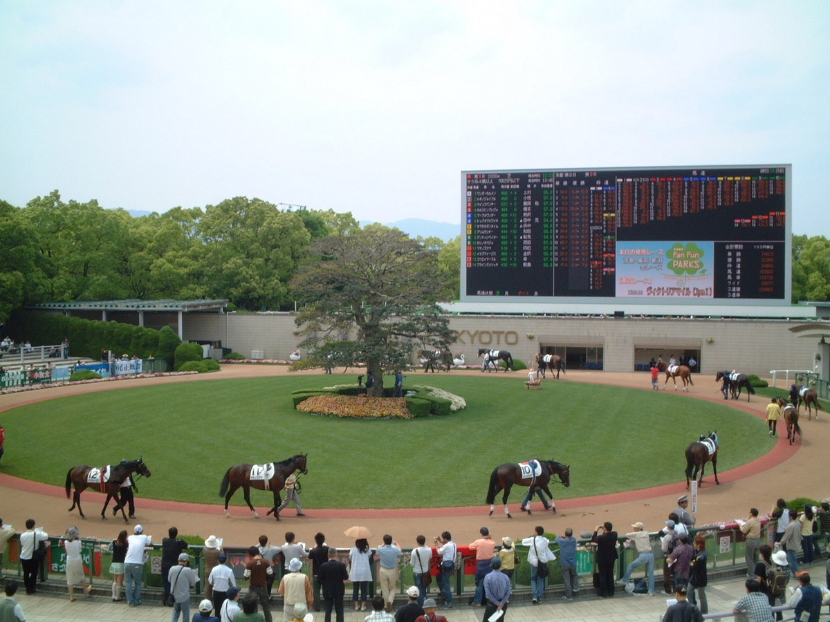 京都競馬場